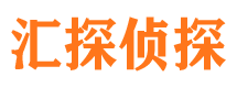 庐阳市侦探公司